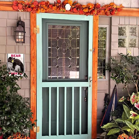 Green Escape Apartment